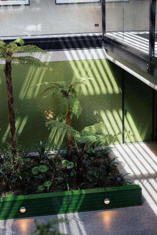 Ebb-Dunedin Extérieur photo The interior of the conservatory